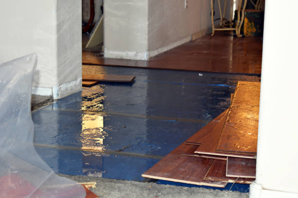 Professional Basement Flood Cleanup technician working in Kingston, PA